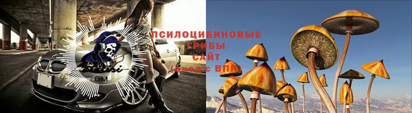 каннабис Алзамай