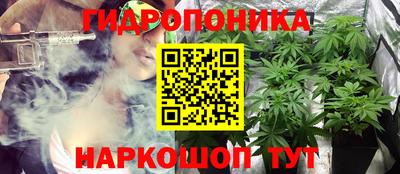 spice Дубна